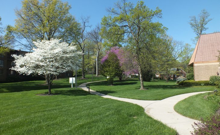 ohio-living-llanfair-45224-1431404_3