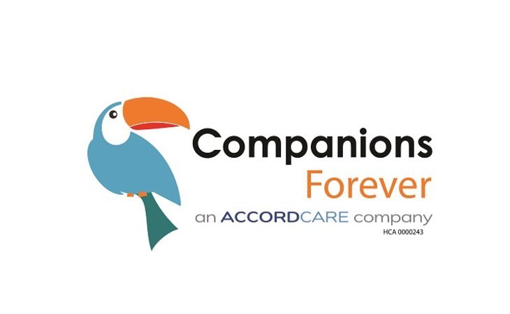 companions-forever-06111