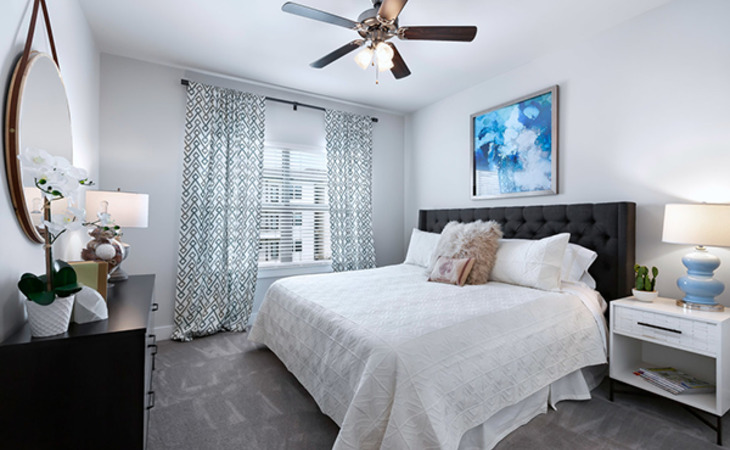 solea-cedar-park-78613-1431671_7