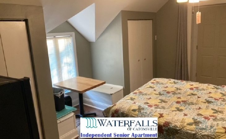 the-waterfalls-of-catonsville-21228-1432112_19