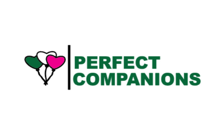 perfect-companions-19073