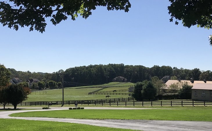 elternhaus-assisted-living-21036-1432704_5