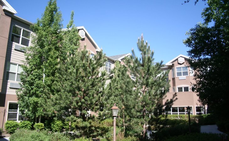 truewood-by-merrill-cottonwood-heights-84047-1433166_9