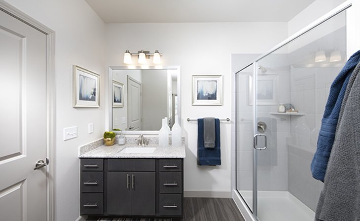 the-luxe-at-cedar-hill-75104-1433778_9