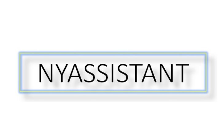 nyassistant-11223
