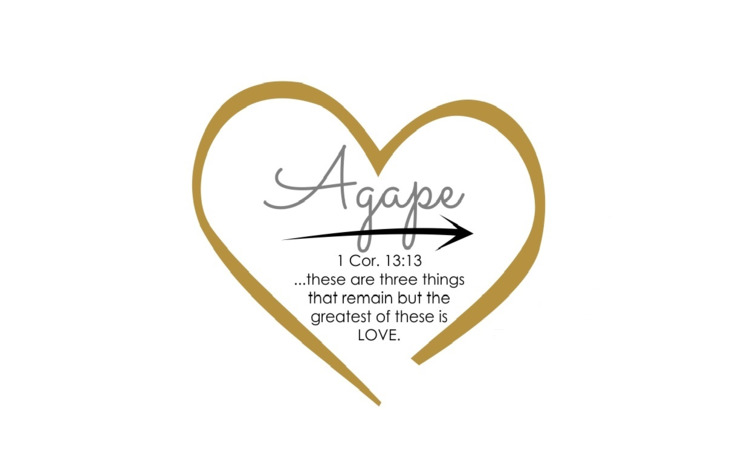 agape-home-care-services-inc-lombard-il-60148