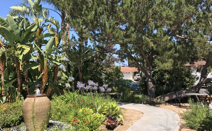 augustin-gardens-92691-1447497_4