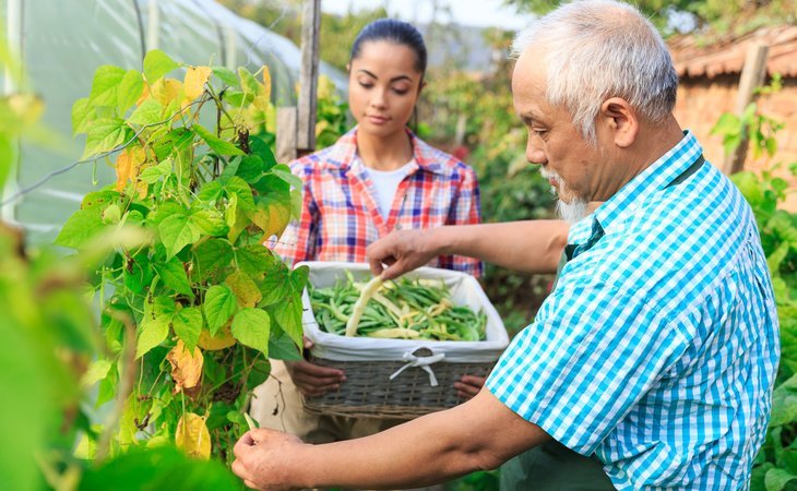 cornerstone-caregiving-83204-1448355_2
