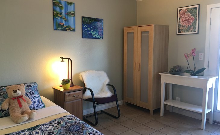 bluemeadow-care-94583-1448592_3