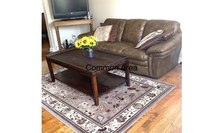 elle-home-haven-llc-21229