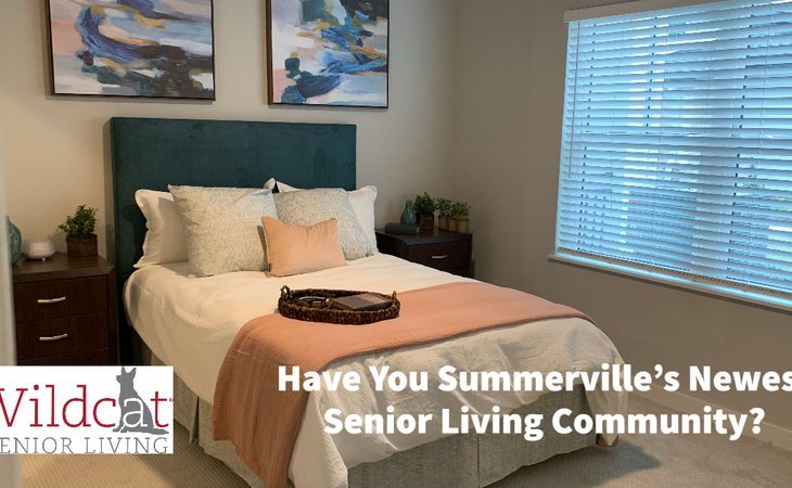 wildcat-senior-living-29486-1449408_2