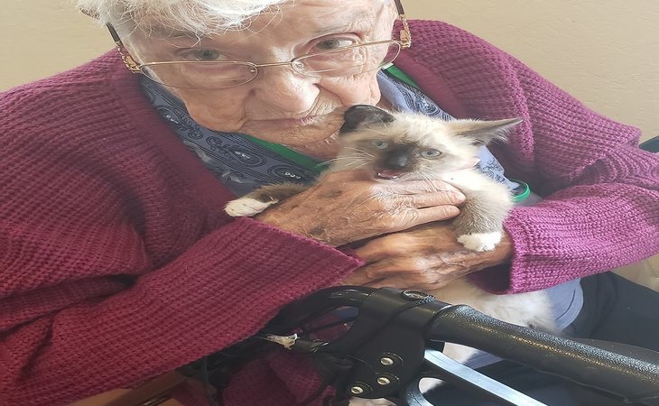 enchantment-assisted-living-87740-1449965_12