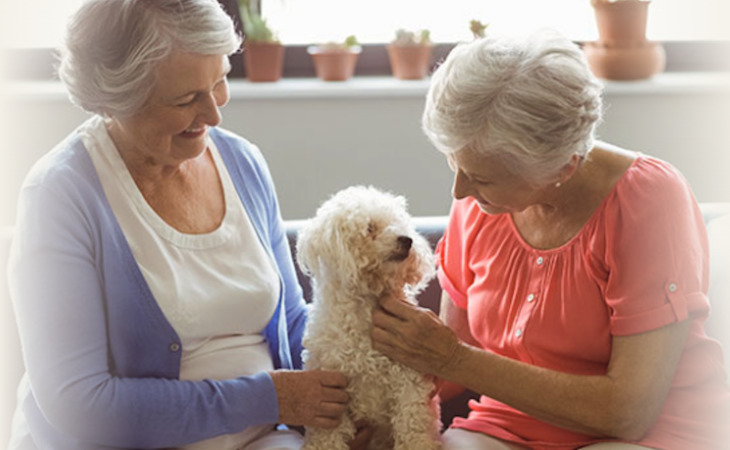 senior-helping-seniors-20707-1450719_4