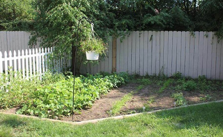 cedar-ridge-elder-services-iv-54455-1452008_5