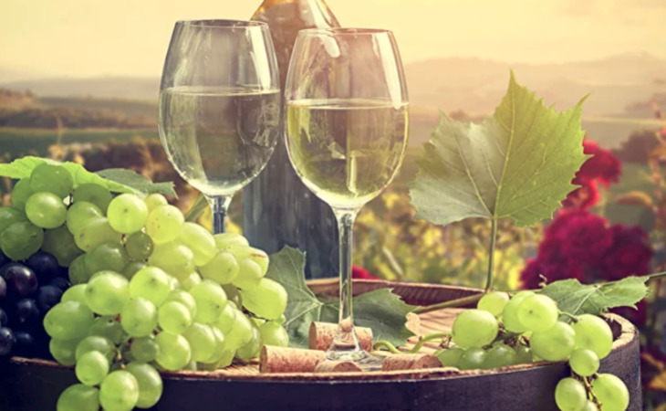chenin-blanc-assisted-living-94591-1452192_5