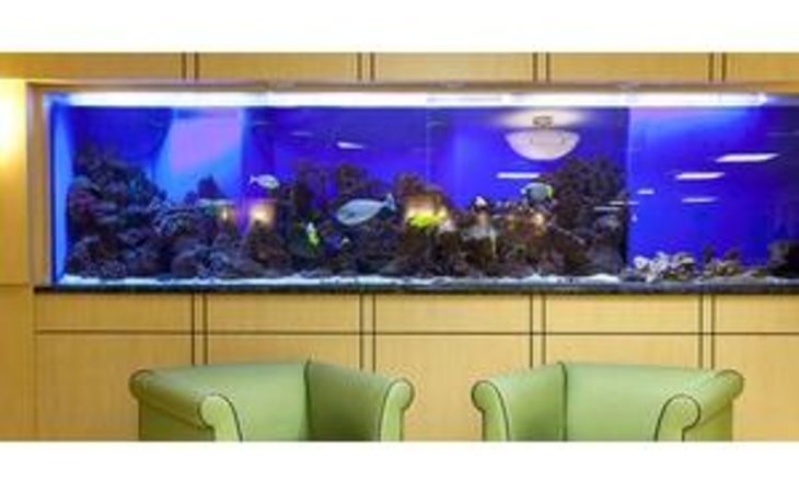 bronx-center-for-rehab-health-10472-14913_6