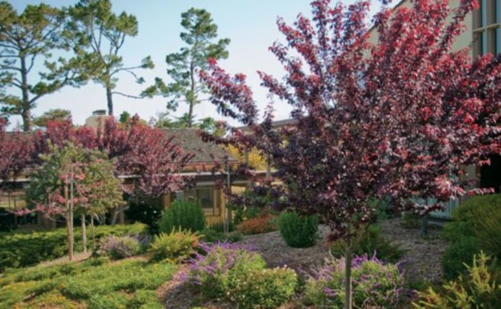 canterbury-woods-pacific-grove-93950-15251_7