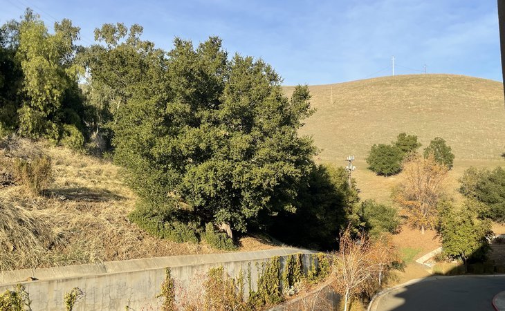 acacia-creek-94587-179_9