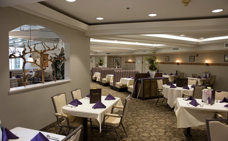 carlton-senior-living-fremont-94538-21244_4