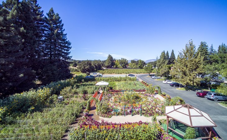 healdsburg-a-pacifica-senior-living-community-95448-22028_7