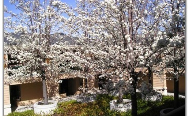 terraces-of-los-gatos-95032-23526_5