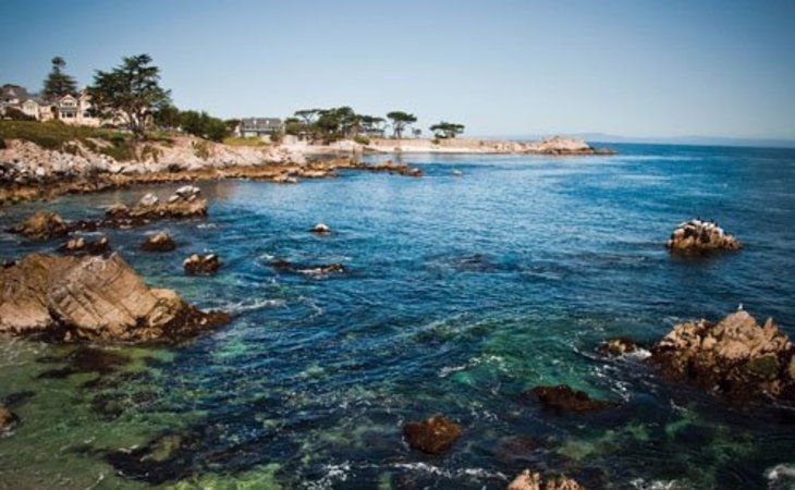 canterbury-woods-pacific-grove-93950