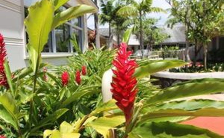 maunalani-nursing-and-rehabilitation-center-96816-2661_7