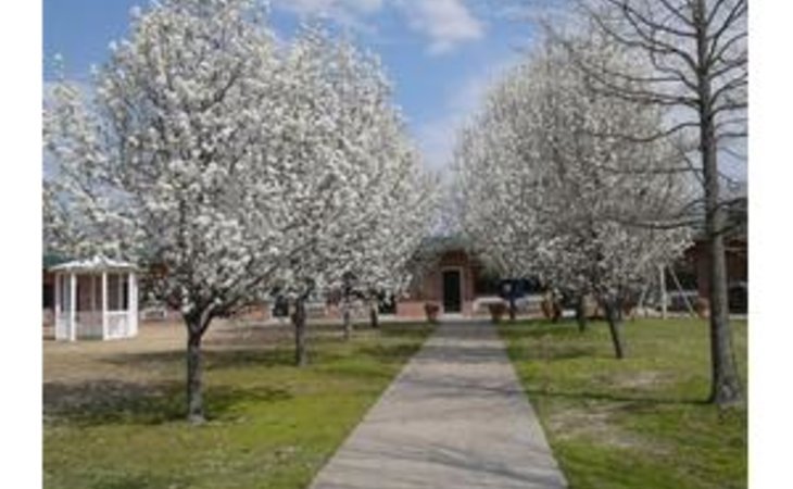 oak-ridge-nursing-home-71730