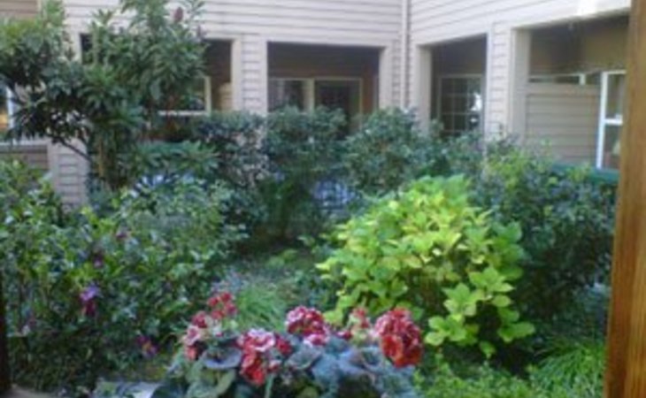 tiffany-court-of-walnut-creek-94596