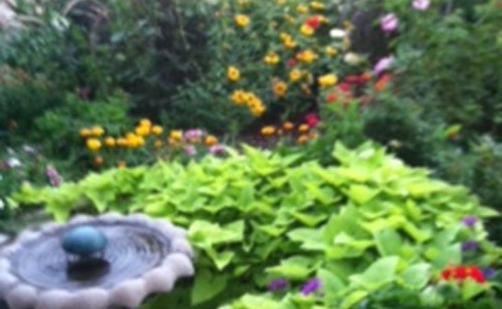 courtyard-of-loveland-80537