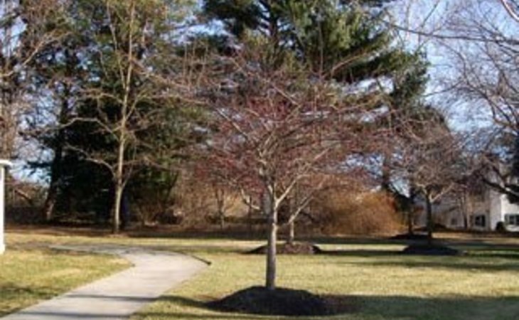 brookdale-hockessin-19707-31267_5