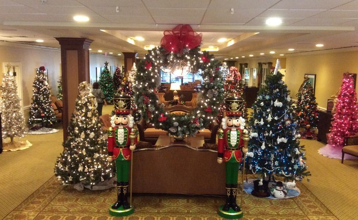 elison-senior-living-community-of-pinecrest-33770-32070_14