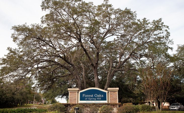 forest-oaks-of-spring-hill-34606-33320_3