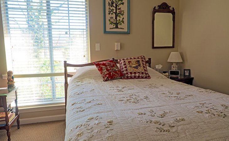brookdale-asheville-overlook-28803-38253_16