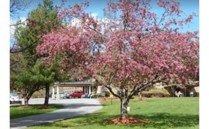 new-windsor-country-inn-12553