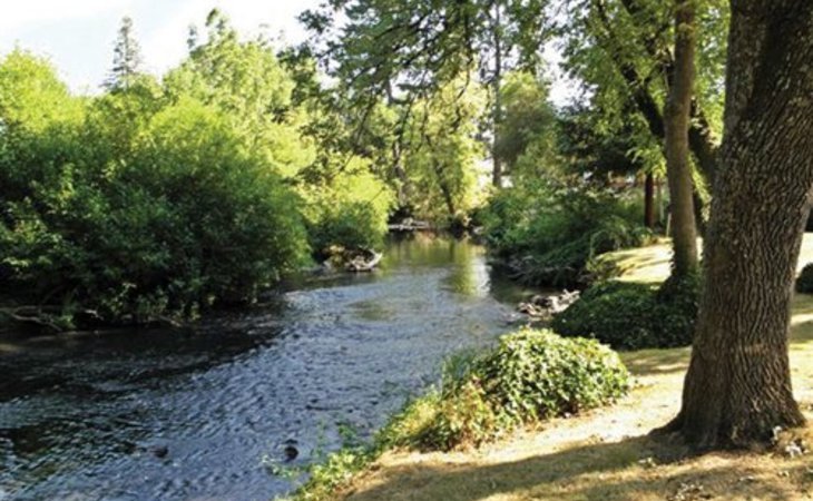 willson-house-97301-40669_5
