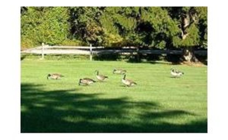 michaux-manor-living-center-17222-41112_17