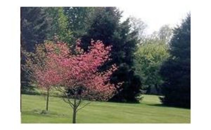 michaux-manor-living-center-17222-41112_6