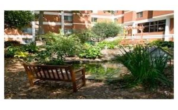 culpepper-garden-22203-44296_3