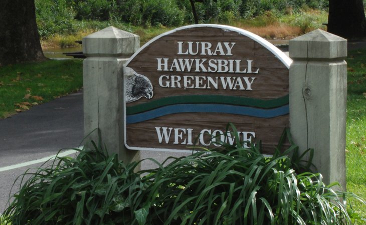 hawksbill-assisted-living-22835-44493_2