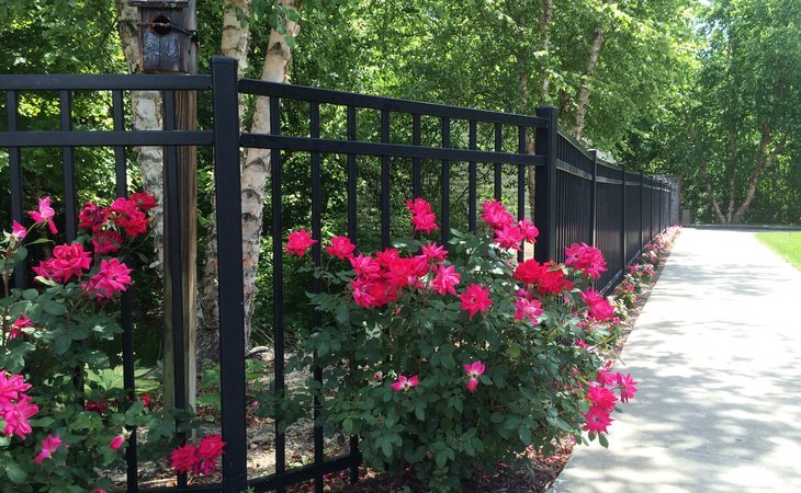 spring-arbor-of-richmond-23233-44675_8