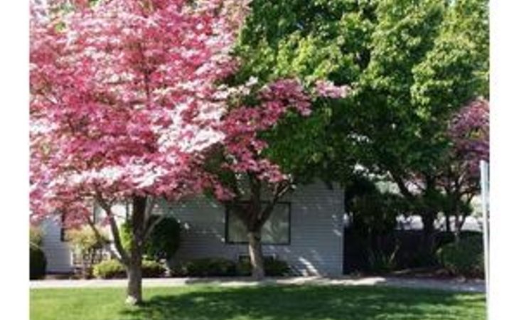 evergreen-estates-99403-44953_4