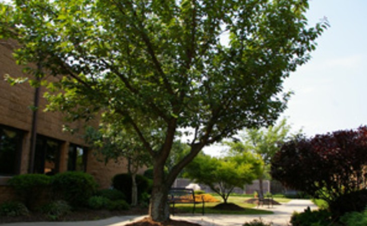 bridgeway-care-and-rehabilitation-center-at-bridgewater-08807