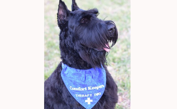 comfort-keepers-of-lakeland-33558-50993_4