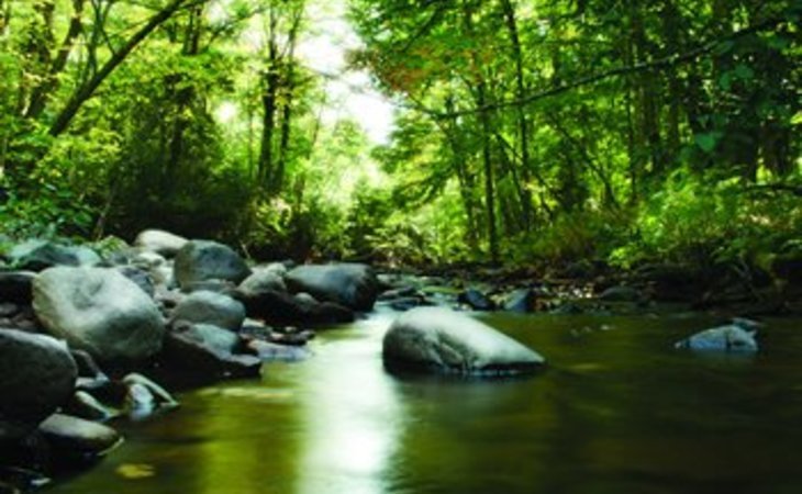 midas-creek-home-health-84095-57053_4