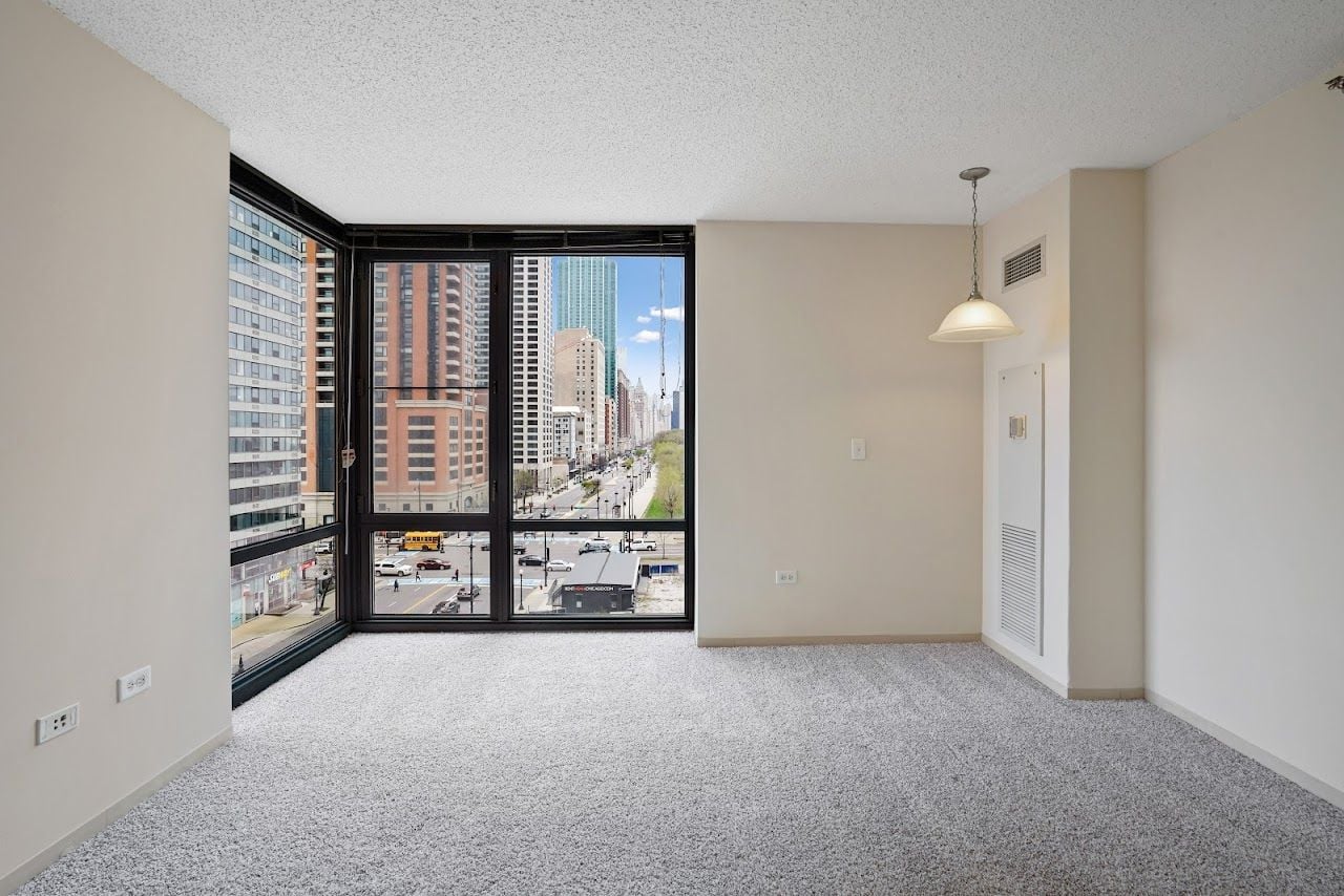1251 S Michigan