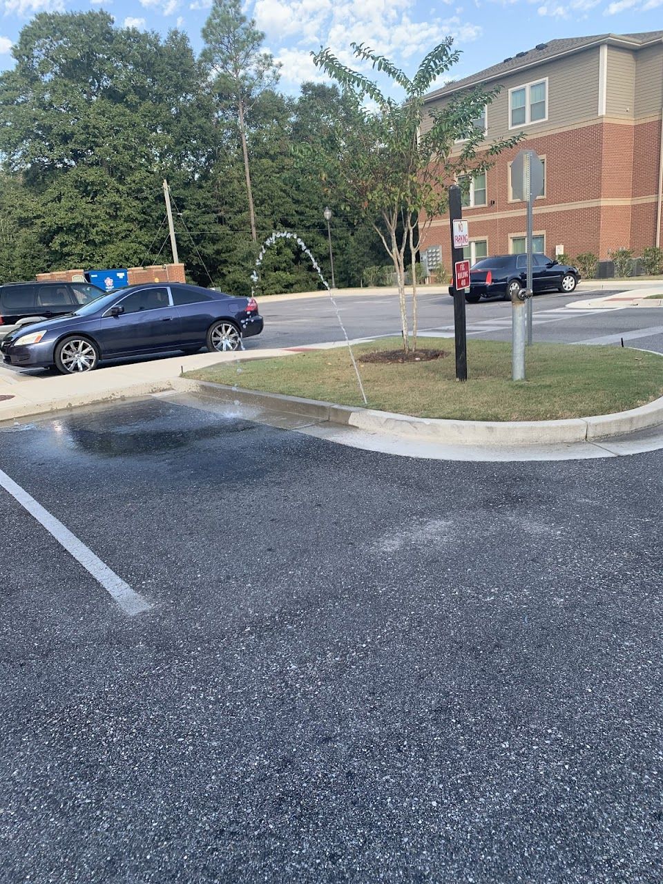 Arbor Pointe Apts