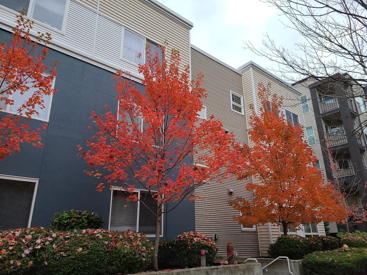 Ashwood Court Apartments