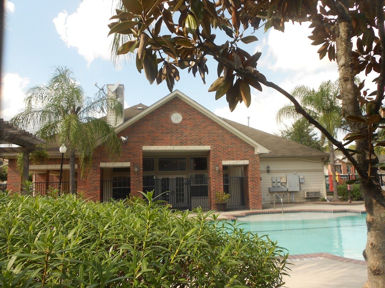 Atascocita Pines