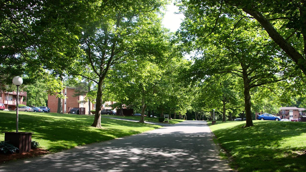 Avalon View Apts.